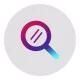 ico_magnifier